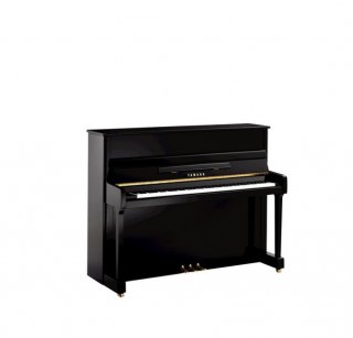 Yamaha P-116