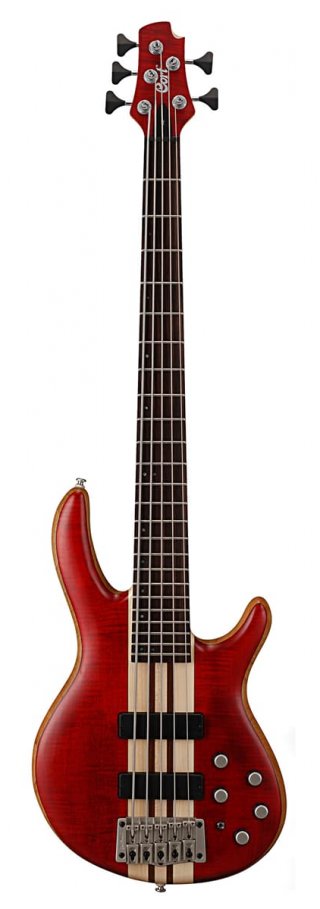 Cort A-5 Plus