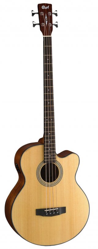 Cort SJB5F  electro-acoustic bass