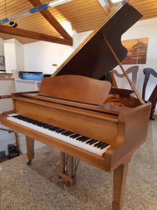 Seiler *RESERVE* 180cm