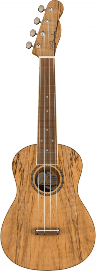Fender Zuma Exotic Concert Ukulele Spalted Maple