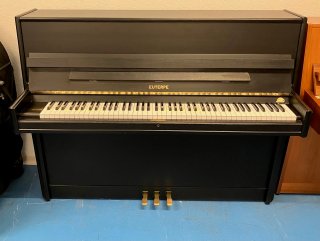 Euterpe 113
