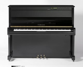 Yamaha MPX100II