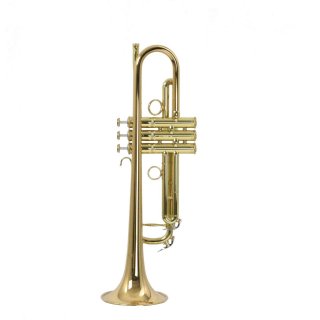 Carol Brass Junior
