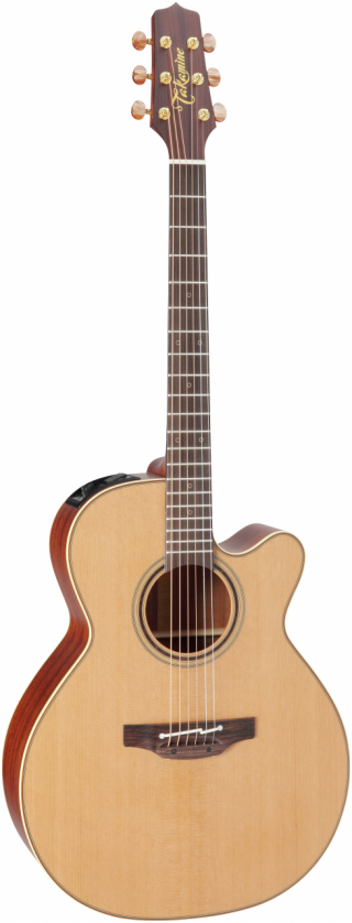 Takamine P3NC