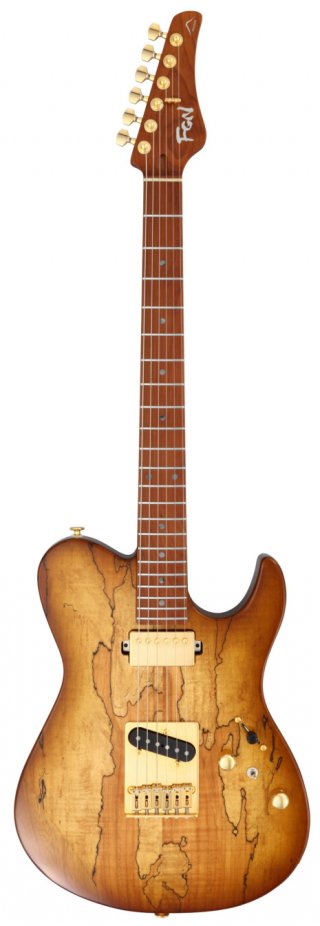 FGN (Fujigen) Expert Iliad EW Hojicha Burst