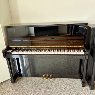 Schimmel  *reservé* 118