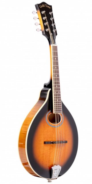 Gold Tone GM-50+