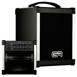 GR Guitar BF Acoustic 5