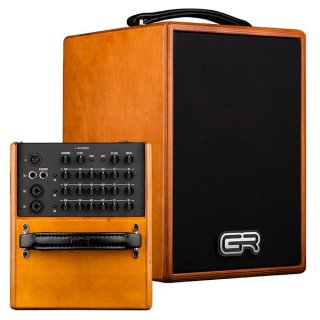 GR Guitar WD Acoustic 6